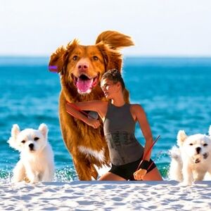 Nwt Free People Movement Head Start Logo with corset style bottom in grey